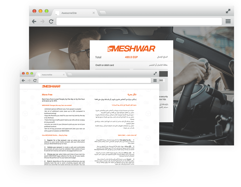 Meshvar&Roobykon Software