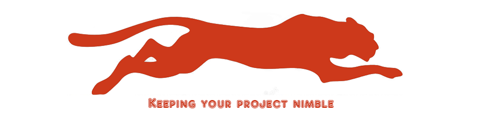 Marketplace Platform Advisor keeps your project nimble