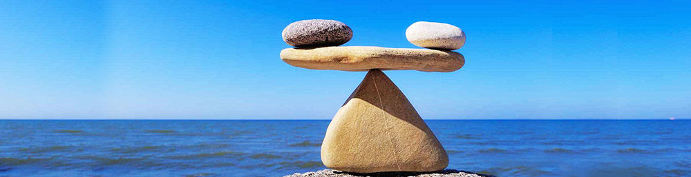 Distributor or Marketplace - Roobykon Blog Distributor or Marketplace