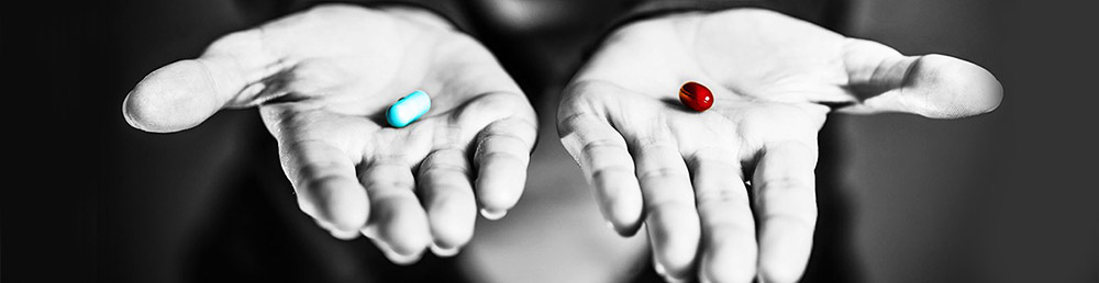 Subscription vs commission and advertizing - Roobykon Blog Subscription vs commission and advertizing