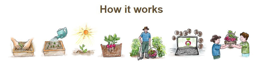 How does Home Farmers work