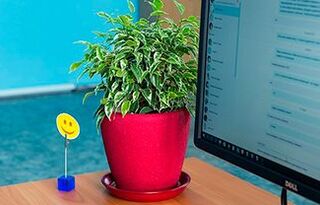 How I Got Into IT Team: Case For Those Who Are Tired Of Freelance