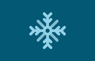 Roobykon New Year Party: The Team’s Winter Celebration