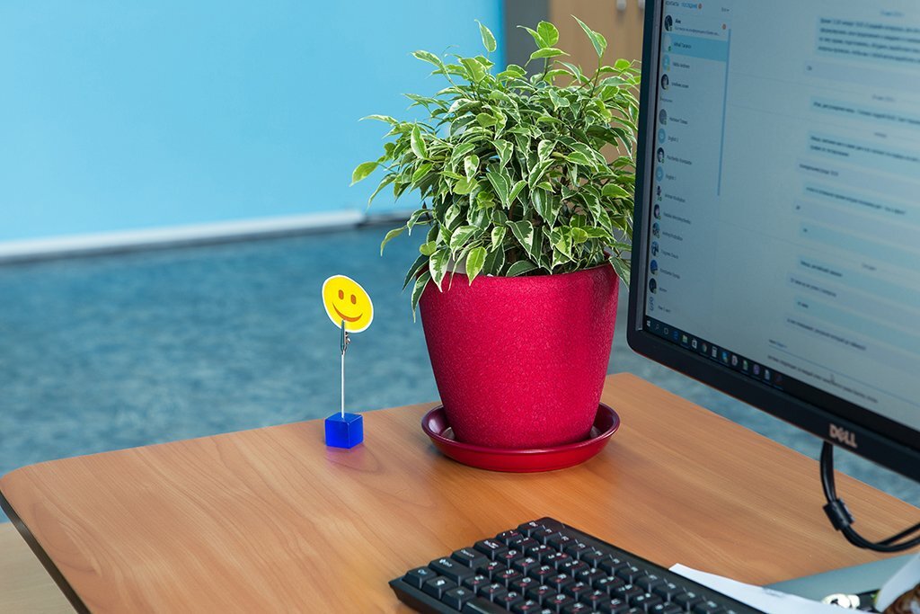 How I Got Into IT Team: Case For Those Who Are Tired Of Freelance photo